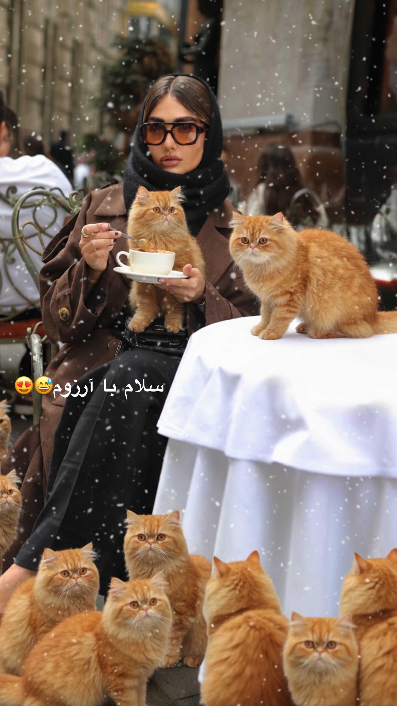  جدید ترین استوری اینستاگرام مارال شاگر حسینی