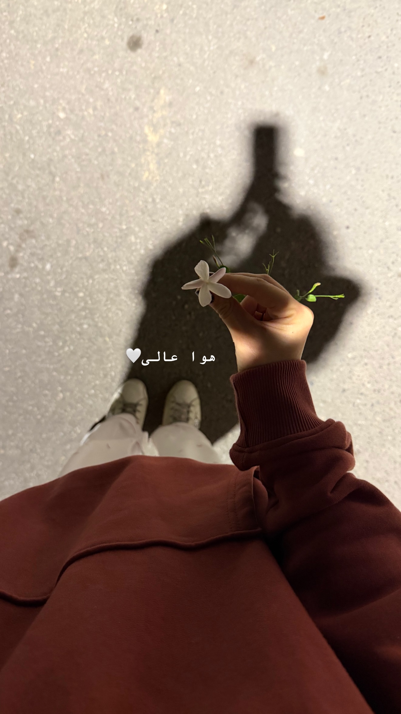  جدید ترین استوری اینستاگرام مارال شاگر حسینی