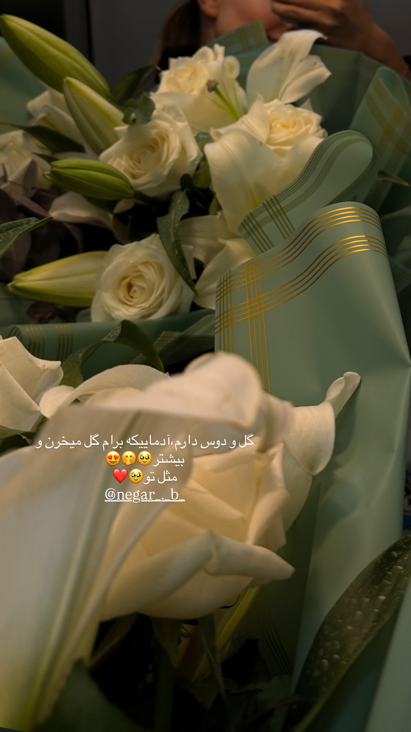  جدید ترین استوری اینستاگرام مارال شاگر حسینی