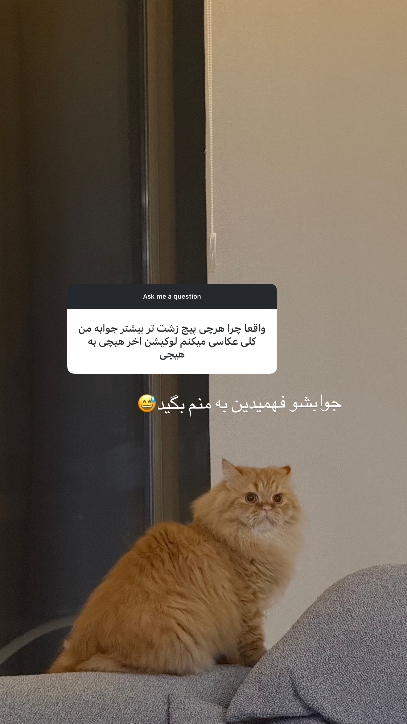  جدید ترین استوری اینستاگرام مارال شاگر حسینی