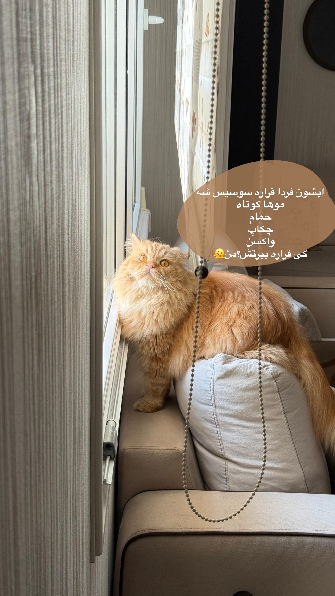  جدید ترین استوری اینستاگرام مارال شاگر حسینی