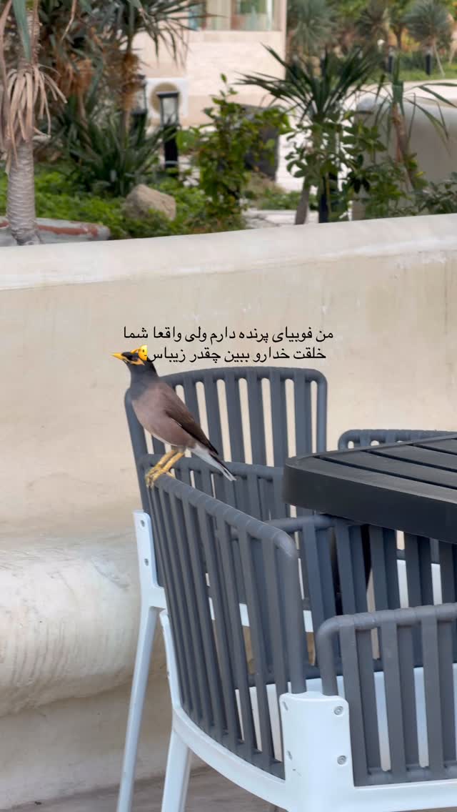 جدید ترین استوری اینستاگرام مارال شاگر حسینی