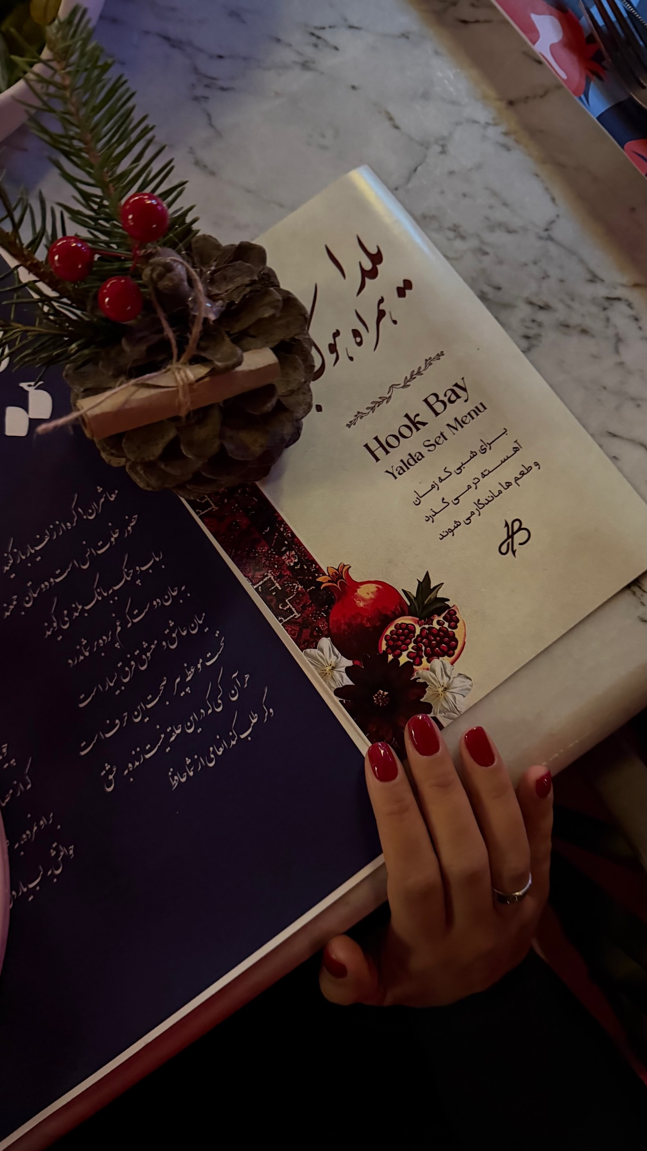  جدید ترین استوری اینستاگرام مارال شاگر حسینی