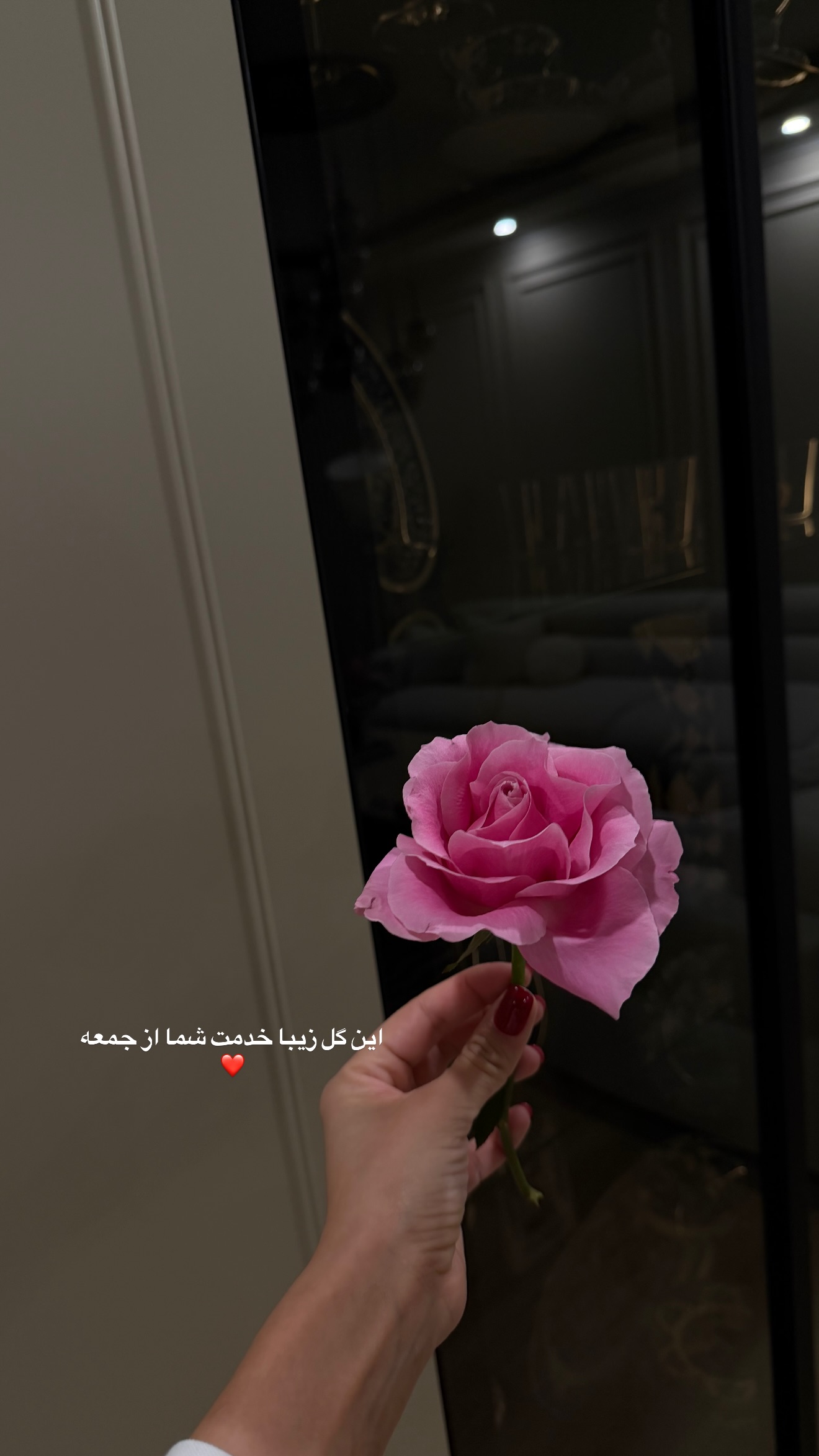  جدید ترین استوری اینستاگرام مارال شاگر حسینی