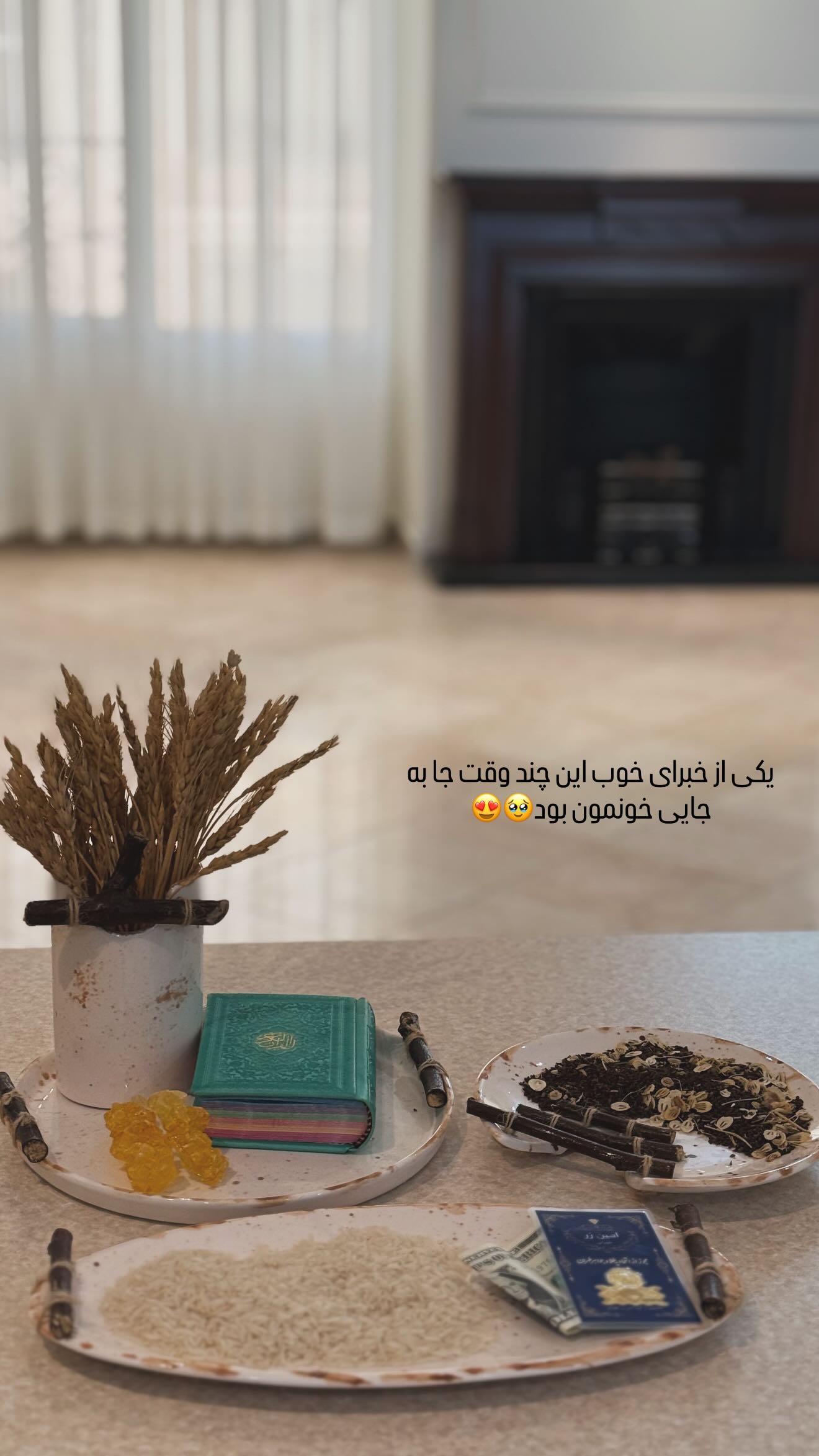  جدید ترین استوری اینستاگرام مرجان مرتضی