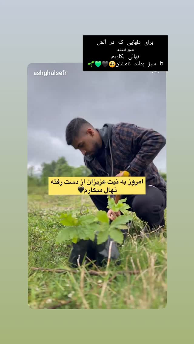  جدید ترین استوری اینستاگرام مرجان گلچین