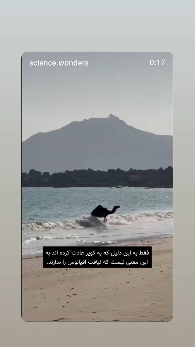  جدید ترین استوری اینستاگرام مرجان گلچین