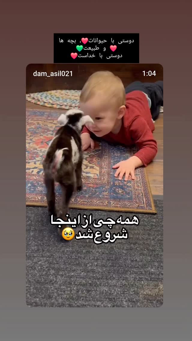  جدید ترین استوری اینستاگرام مرجان گلچین