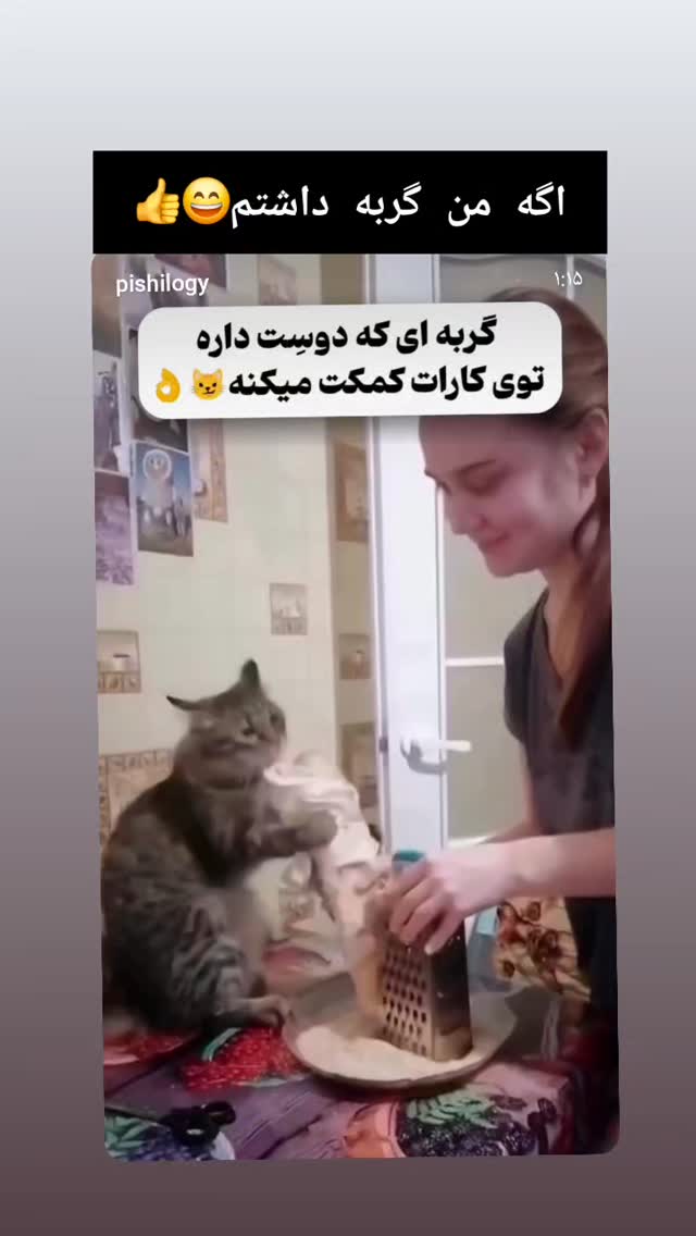  جدید ترین استوری اینستاگرام مرجان گلچین