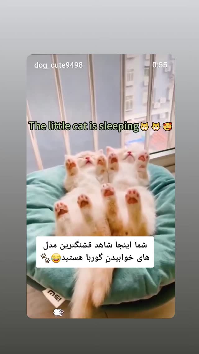  جدید ترین استوری اینستاگرام مرجان گلچین