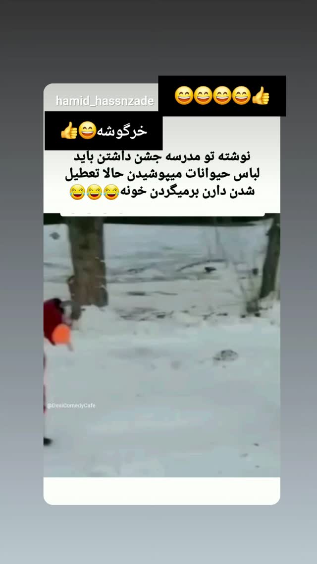  جدید ترین استوری اینستاگرام مرجان گلچین