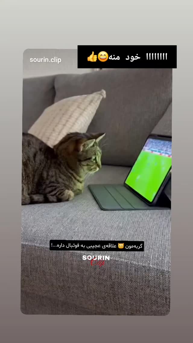  جدید ترین استوری اینستاگرام مرجان گلچین