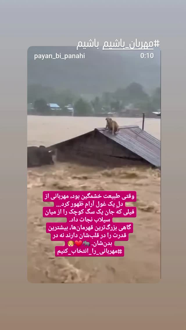  جدید ترین استوری اینستاگرام مرجان گلچین