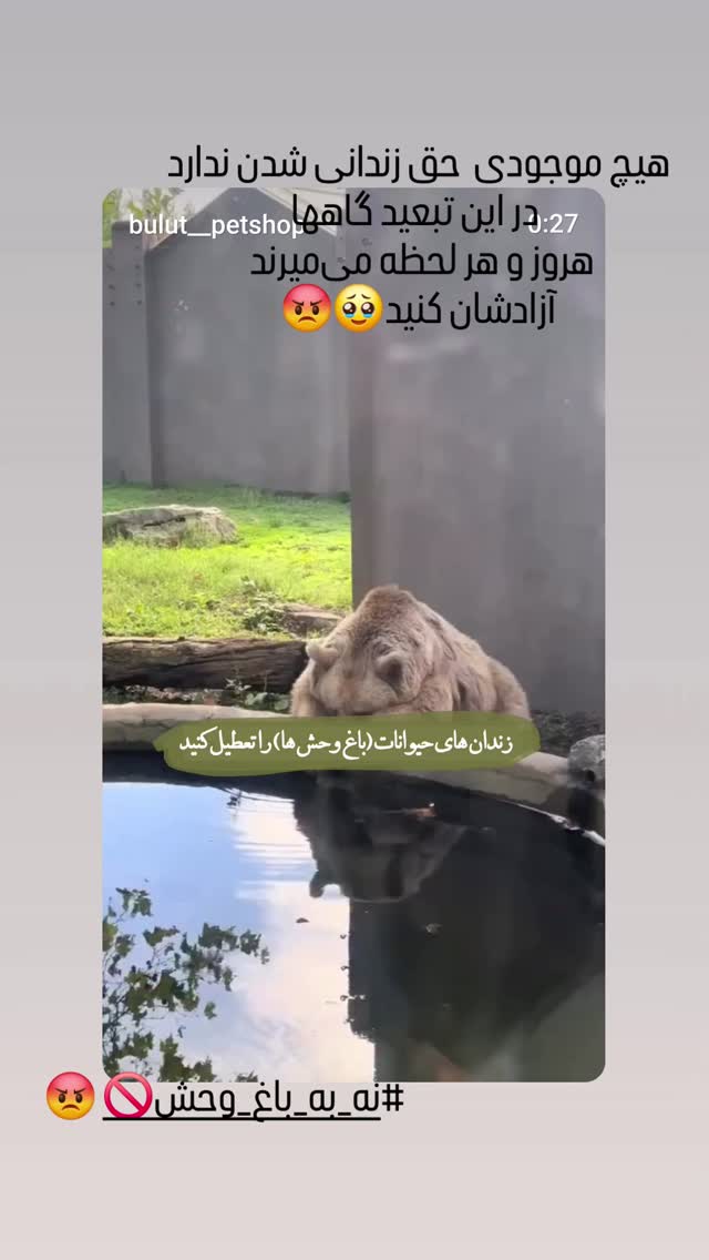  جدید ترین استوری اینستاگرام مرجان گلچین