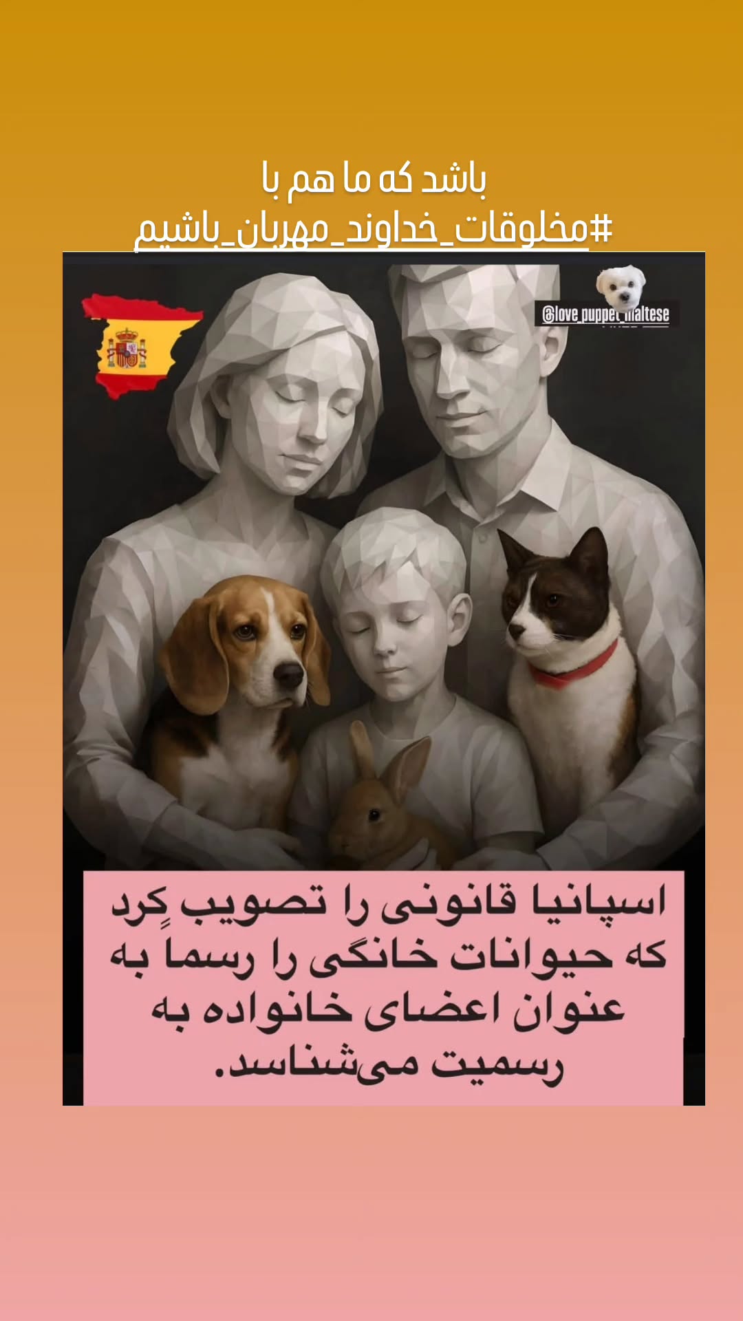  جدید ترین استوری اینستاگرام مرجان گلچین