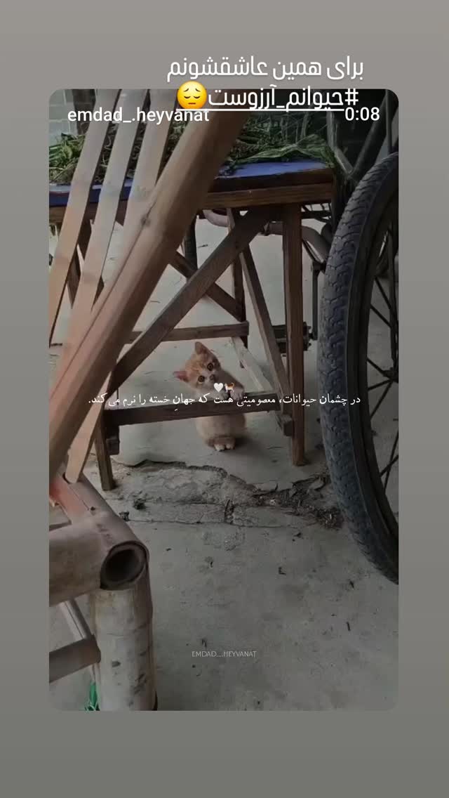  جدید ترین استوری اینستاگرام مرجان گلچین