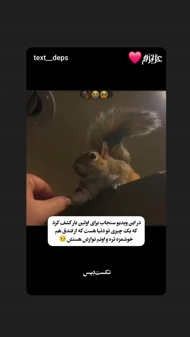  جدید ترین استوری اینستاگرام مرجان گلچین