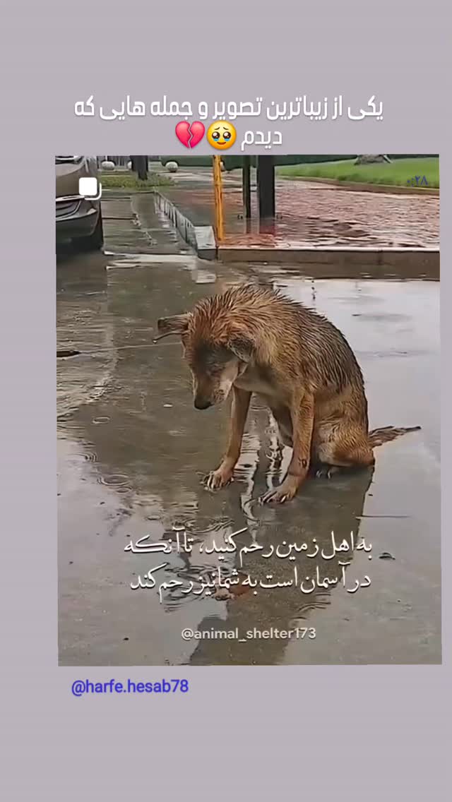  جدید ترین استوری اینستاگرام مرجان گلچین