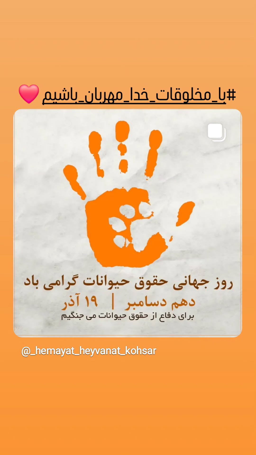  جدید ترین استوری اینستاگرام مرجان گلچین
