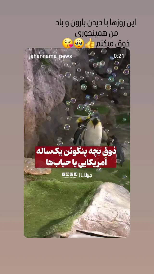  جدید ترین استوری اینستاگرام مرجان گلچین