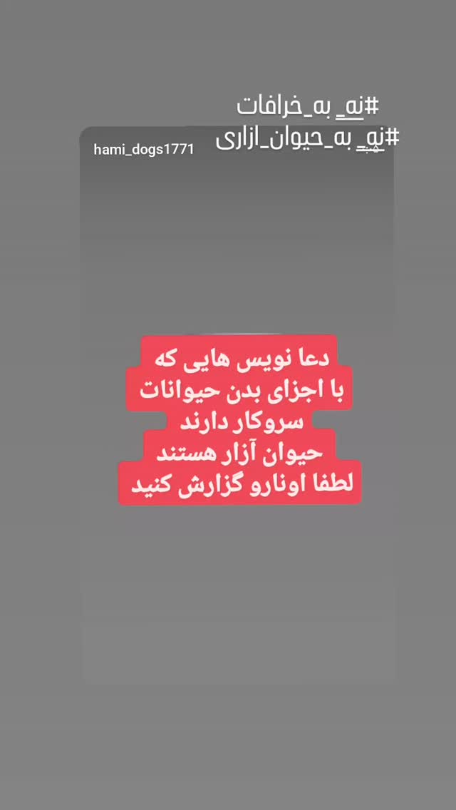  جدید ترین استوری اینستاگرام مرجان گلچین