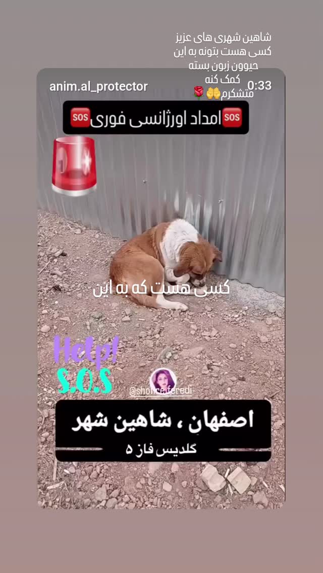  جدید ترین استوری اینستاگرام مرجان گلچین
