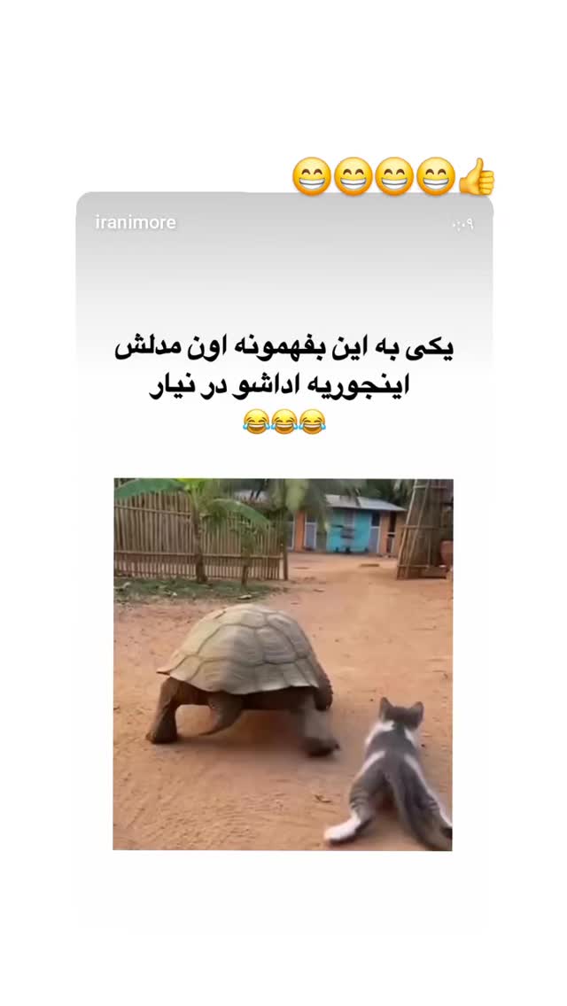  جدید ترین استوری اینستاگرام مرجان گلچین