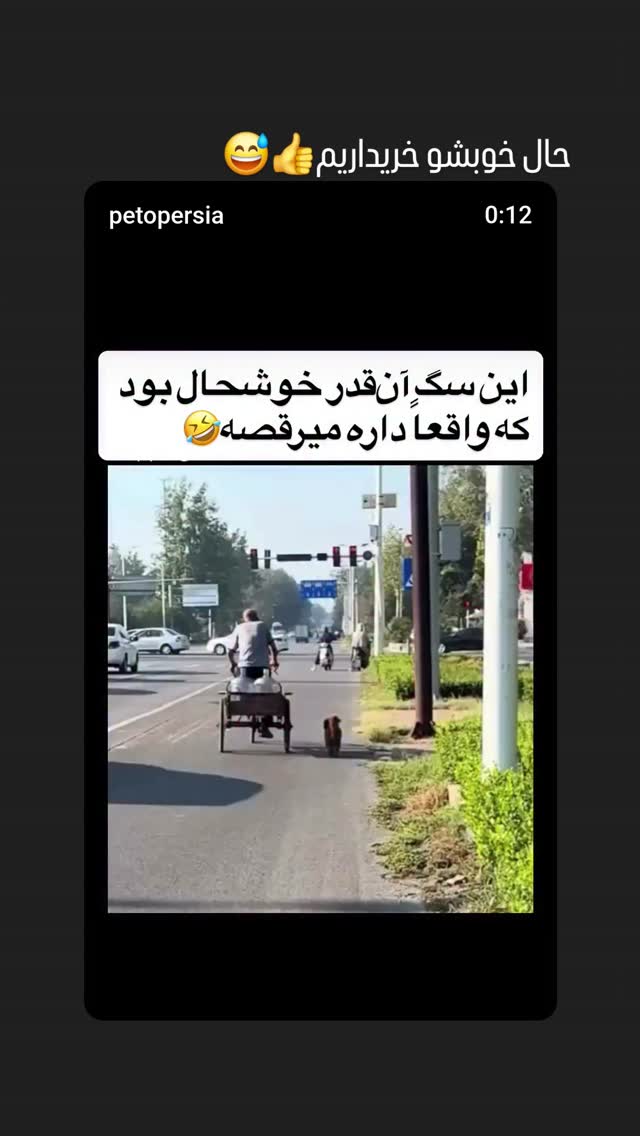 جدید ترین استوری اینستاگرام مرجان گلچین