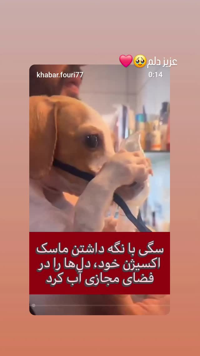  جدید ترین استوری اینستاگرام مرجان گلچین