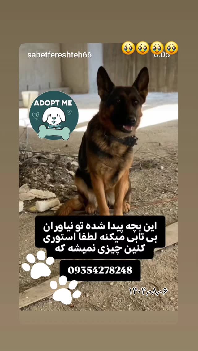  جدید ترین استوری اینستاگرام مرجان گلچین