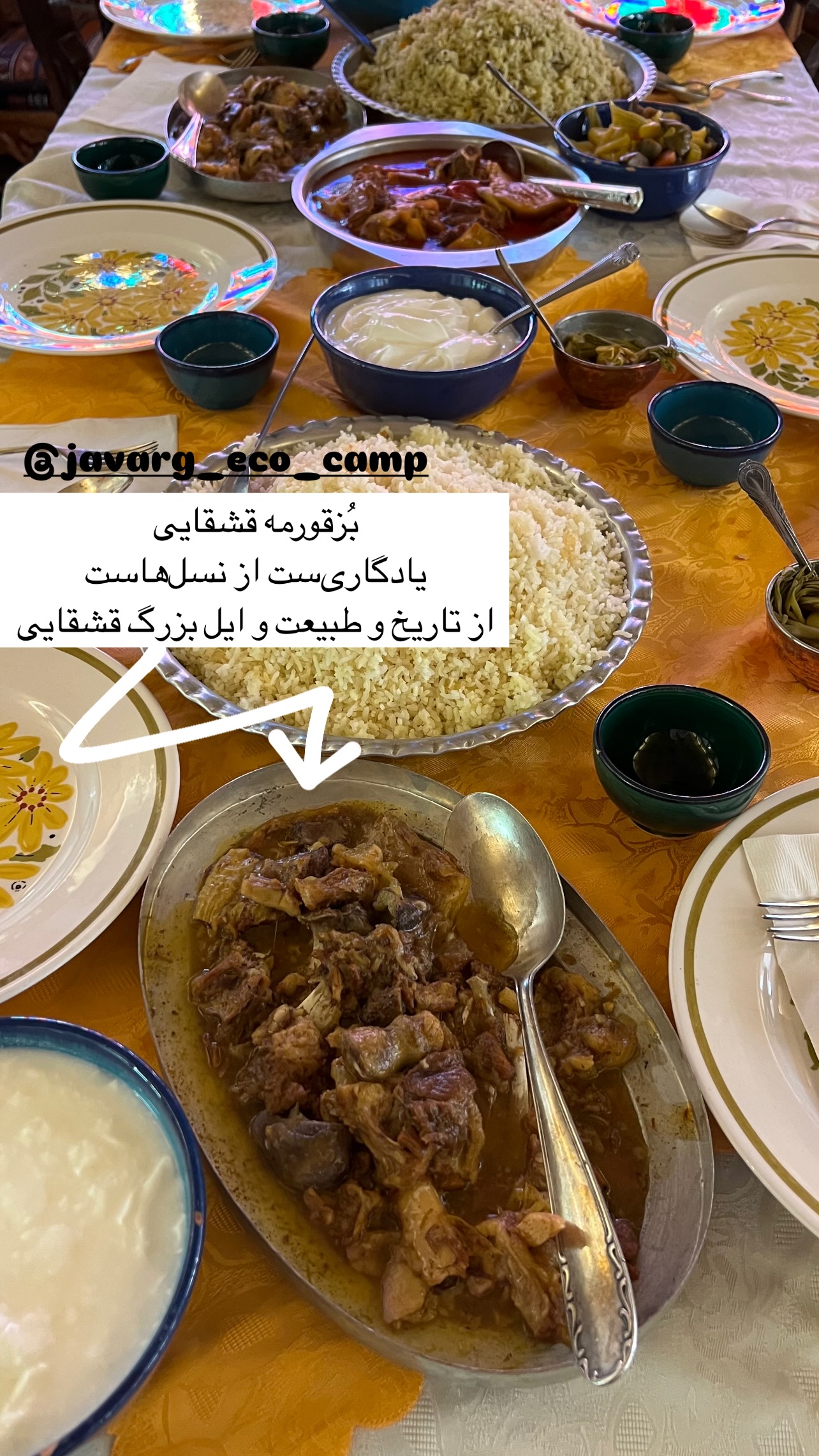  جدید ترین استوری اینستاگرام مرجان ماهینی