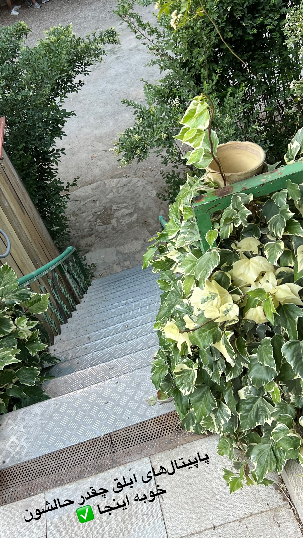  جدید ترین استوری اینستاگرام مرجان ماهینی