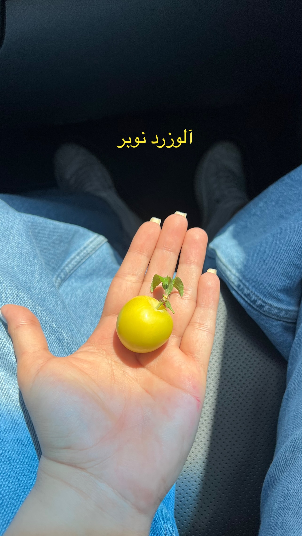  جدید ترین استوری اینستاگرام مرجان ماهینی