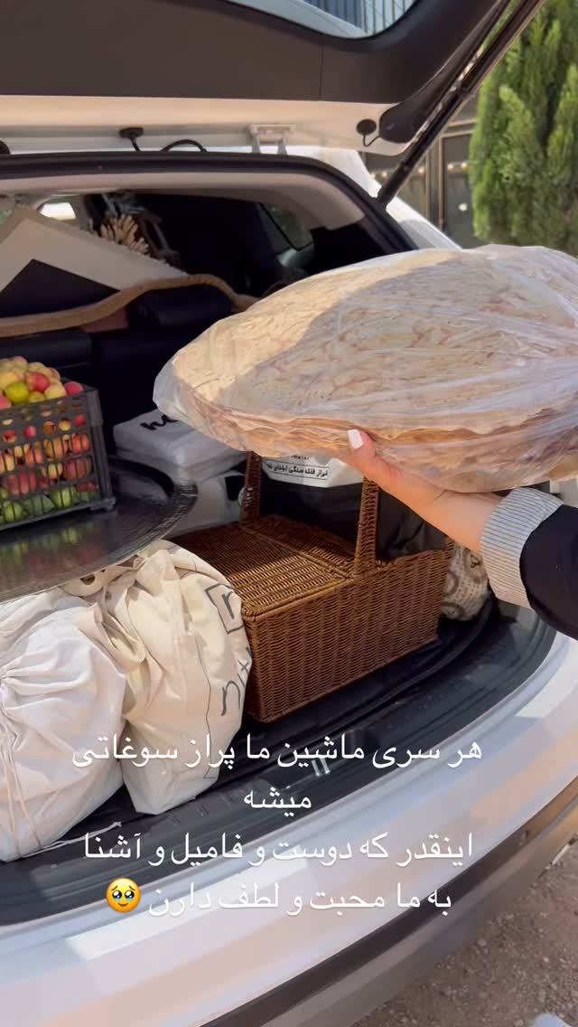  جدید ترین استوری اینستاگرام مرجان ماهینی