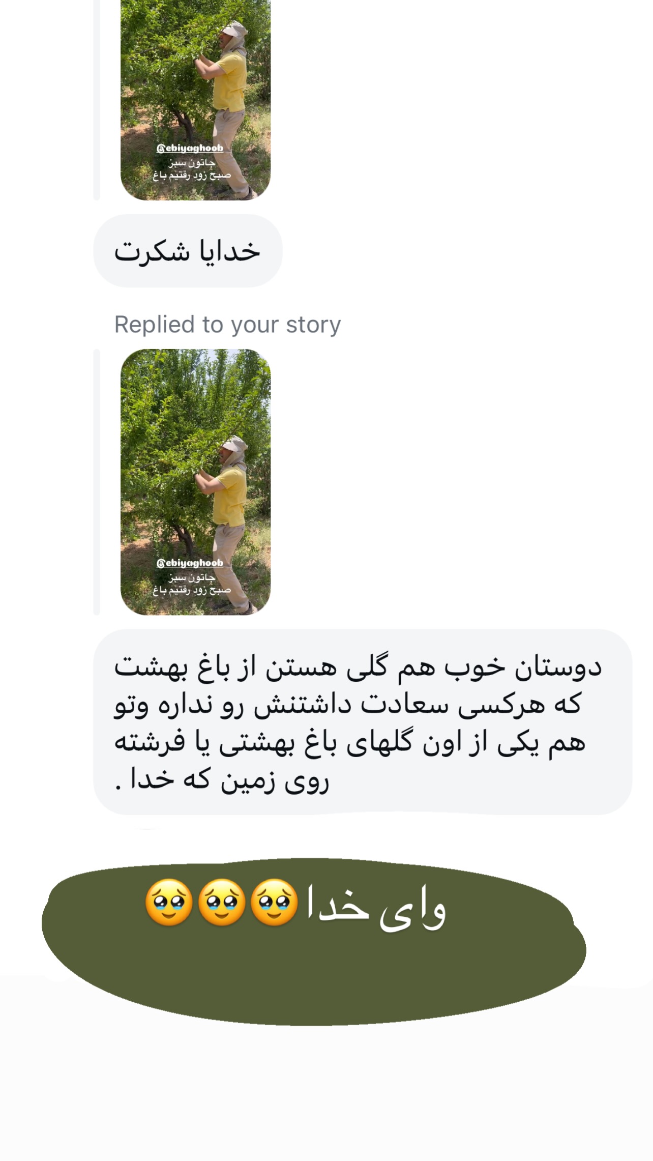  جدید ترین استوری اینستاگرام مرجان ماهینی