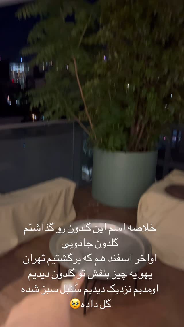  جدید ترین استوری اینستاگرام مرجان ماهینی