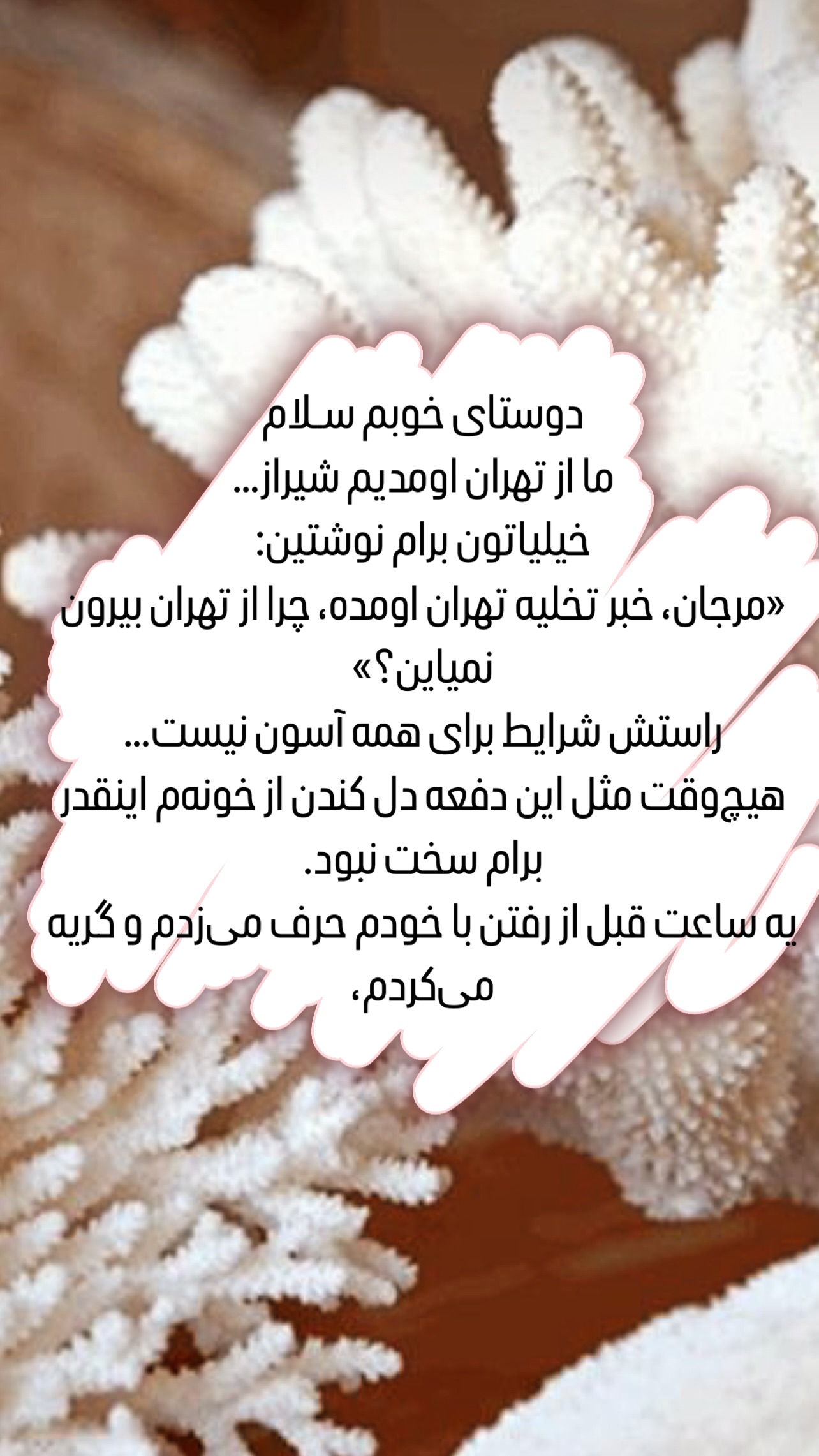  جدید ترین استوری اینستاگرام مرجان ماهینی