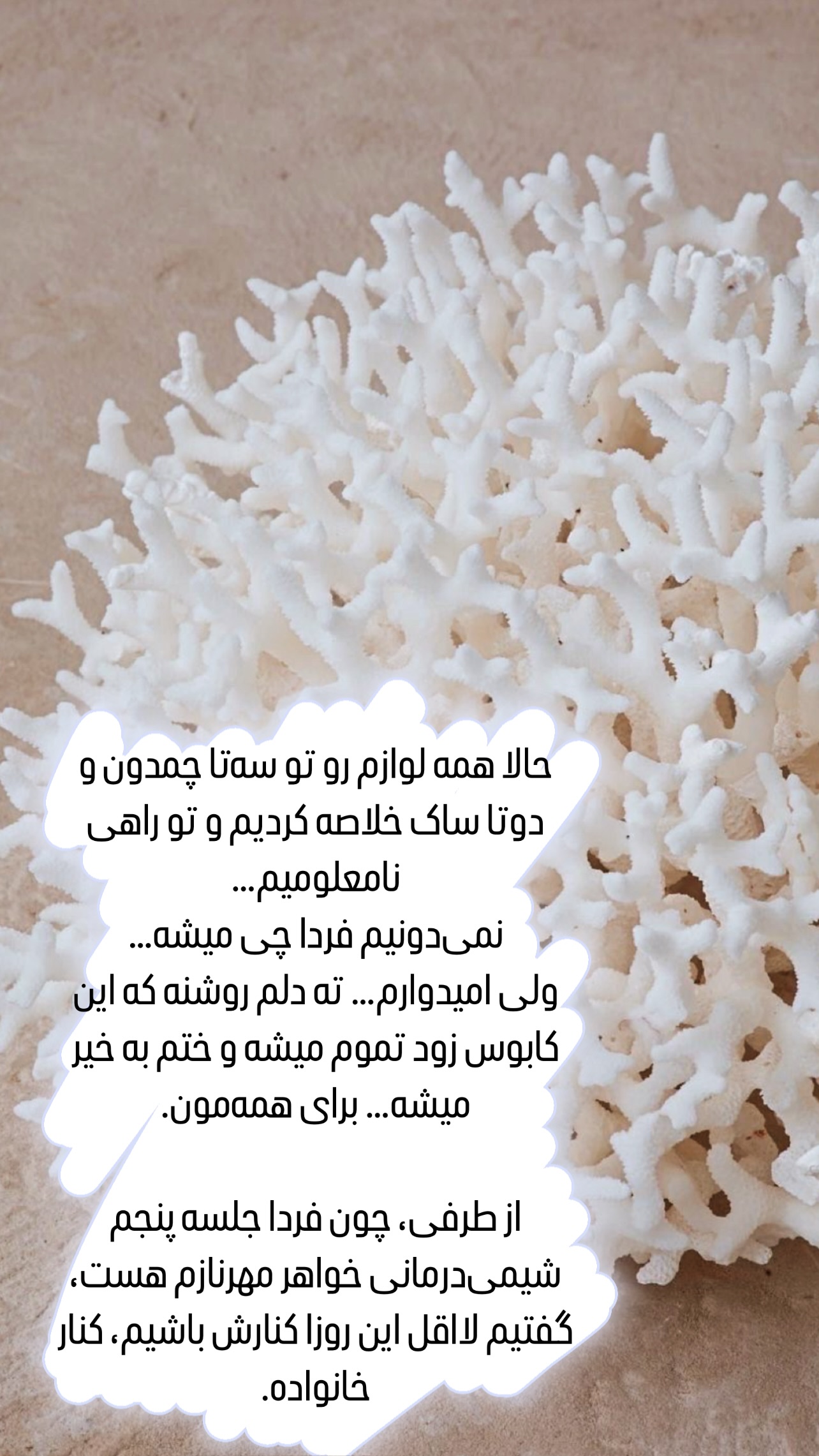  جدید ترین استوری اینستاگرام مرجان ماهینی