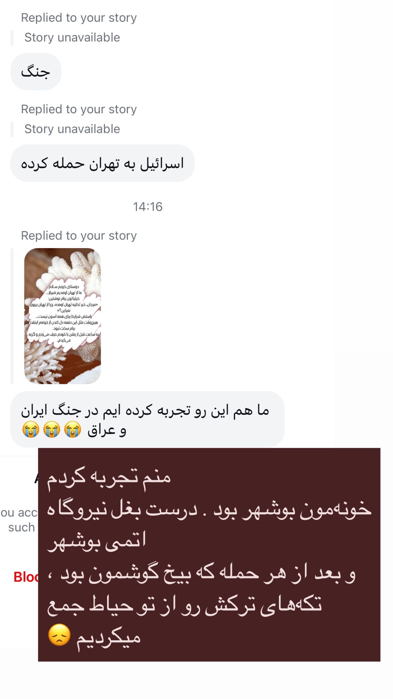  جدید ترین استوری اینستاگرام مرجان ماهینی