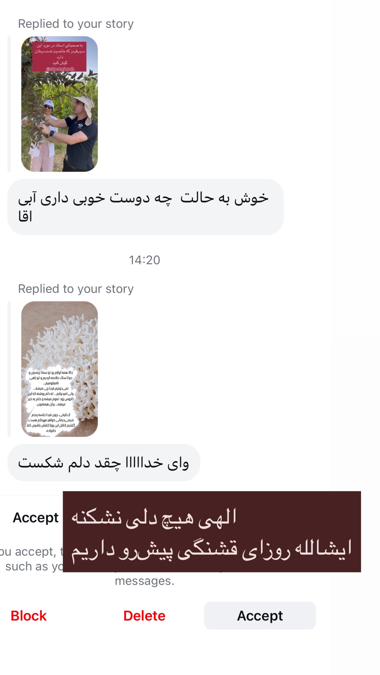  جدید ترین استوری اینستاگرام مرجان ماهینی