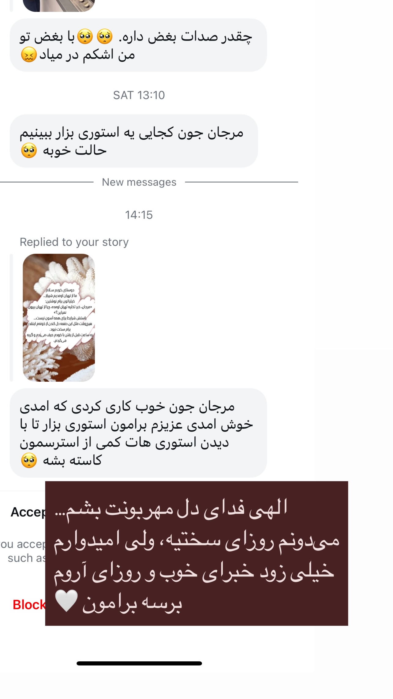  جدید ترین استوری اینستاگرام مرجان ماهینی