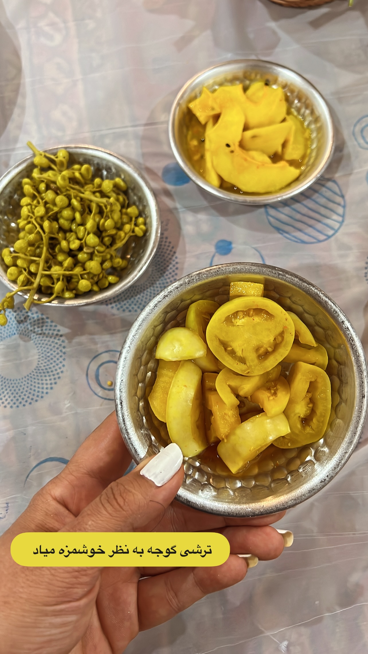  جدید ترین استوری اینستاگرام مرجان ماهینی