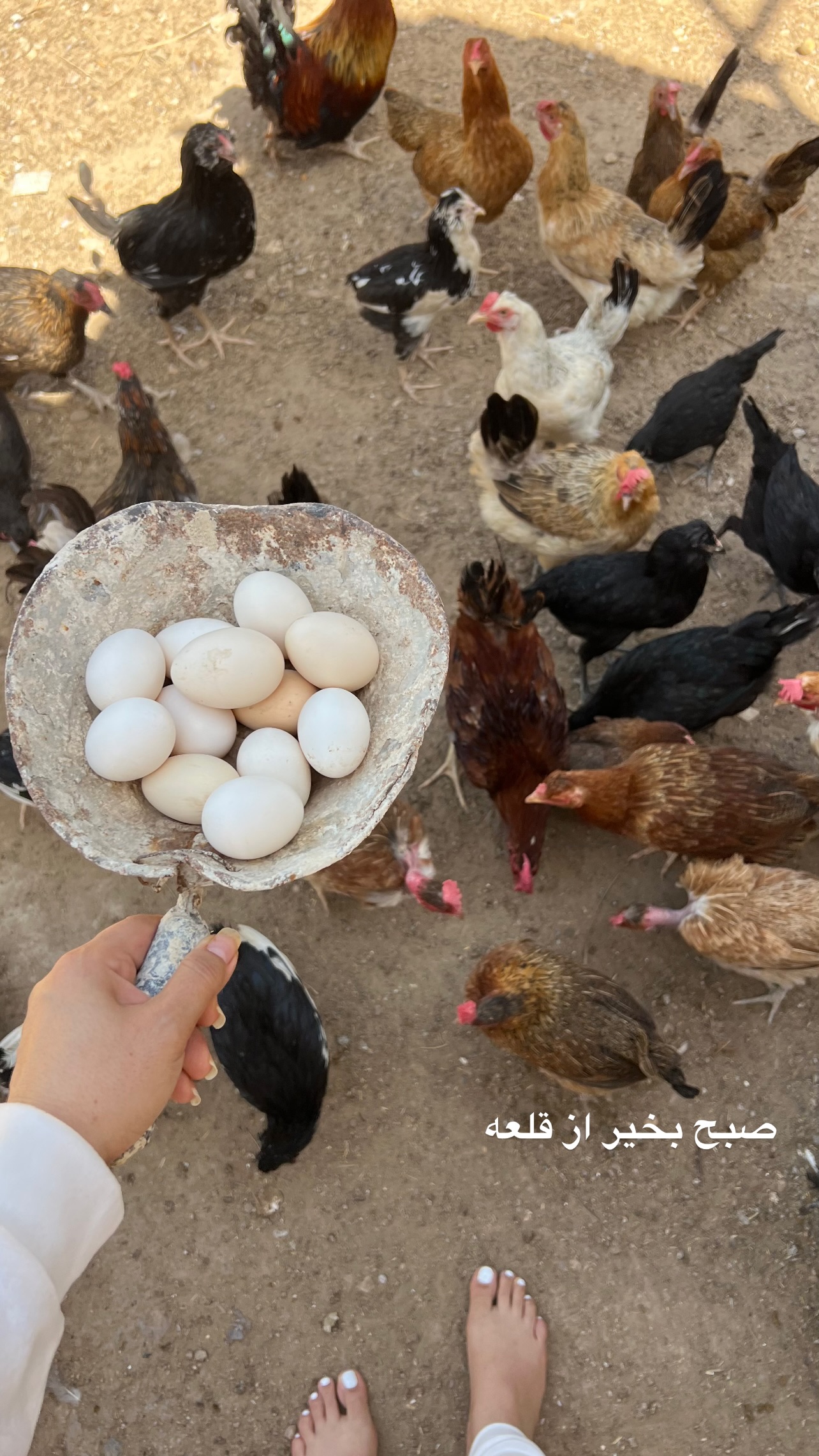  جدید ترین استوری اینستاگرام مرجان ماهینی