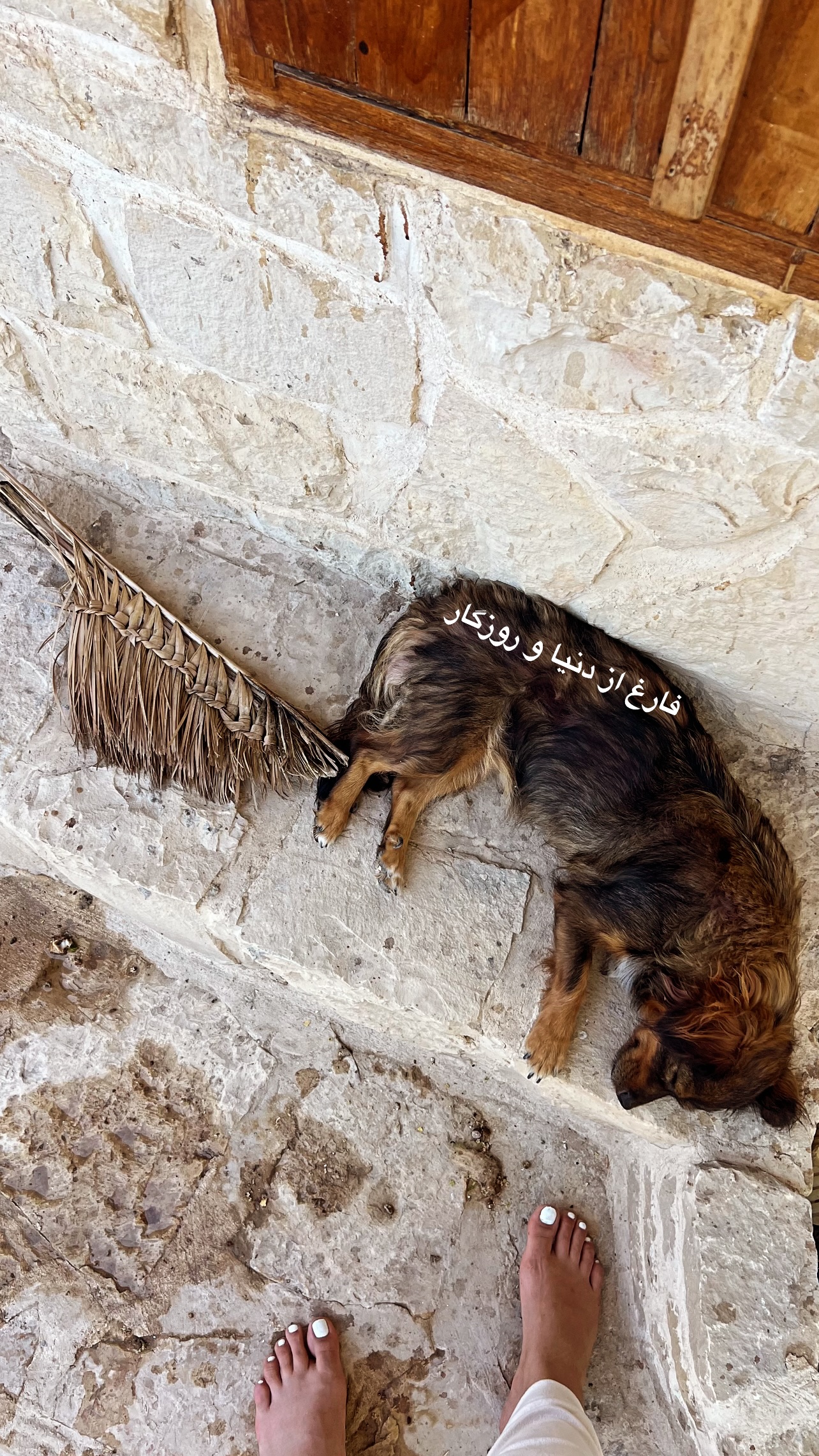  جدید ترین استوری اینستاگرام مرجان ماهینی