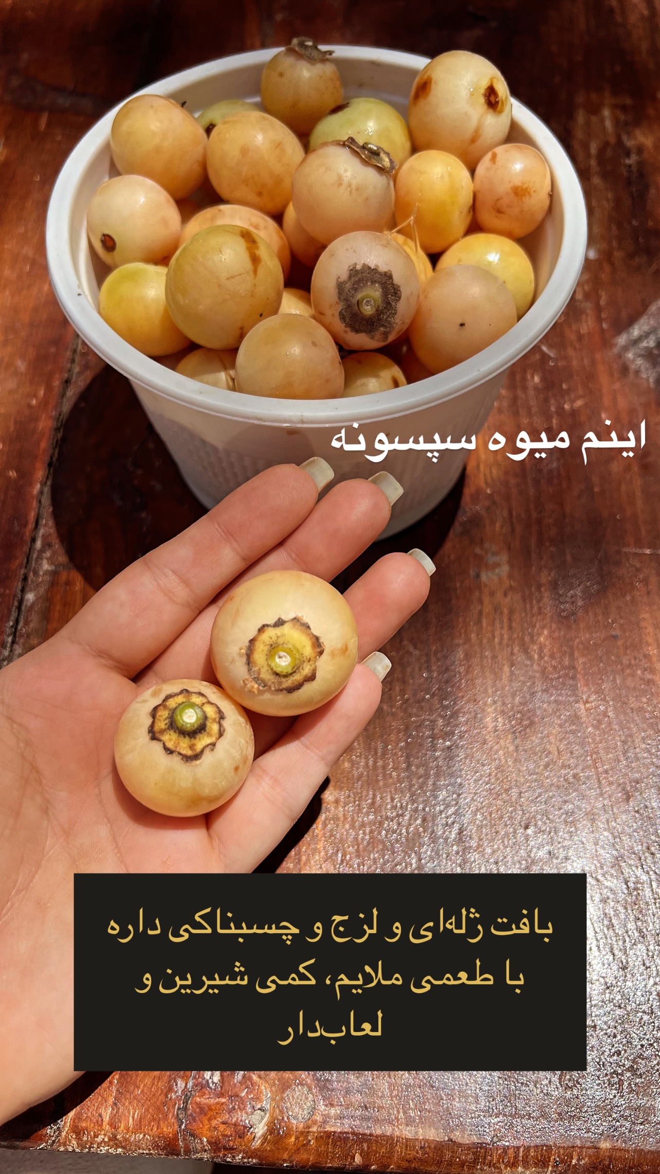  جدید ترین استوری اینستاگرام مرجان ماهینی