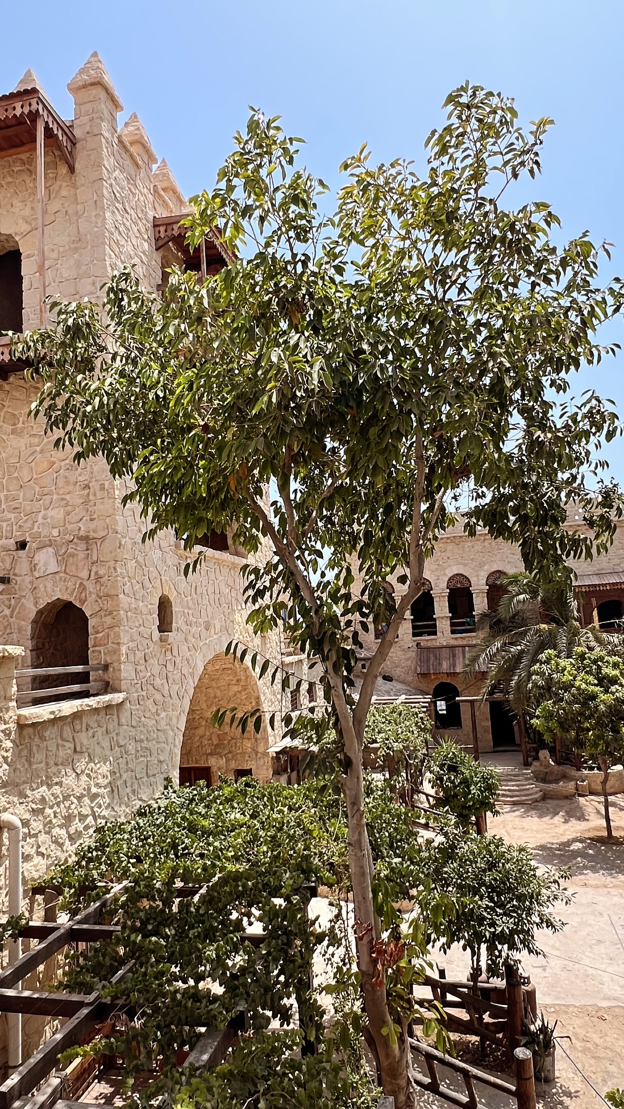  جدید ترین استوری اینستاگرام مرجان ماهینی