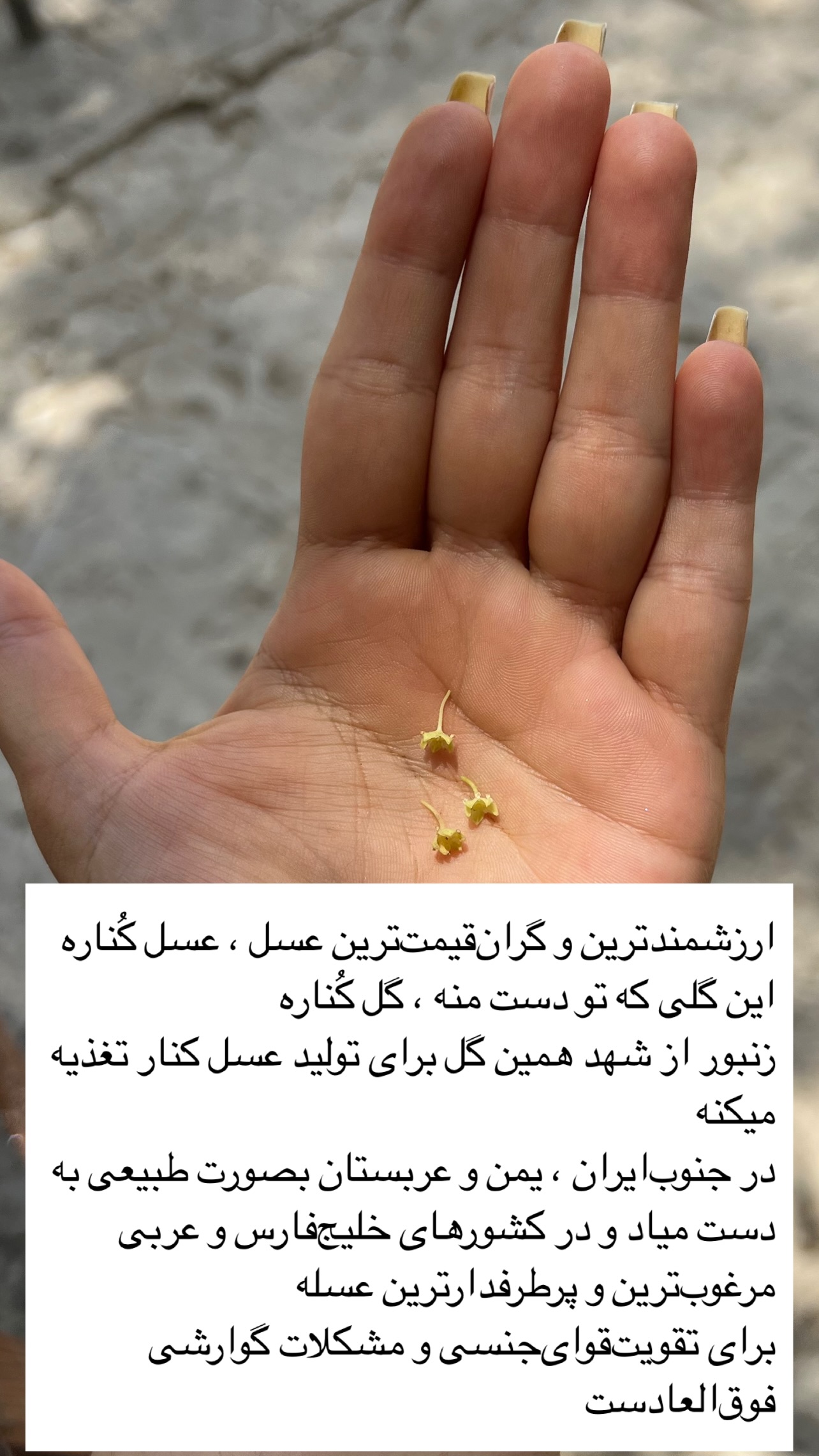  جدید ترین استوری اینستاگرام مرجان ماهینی