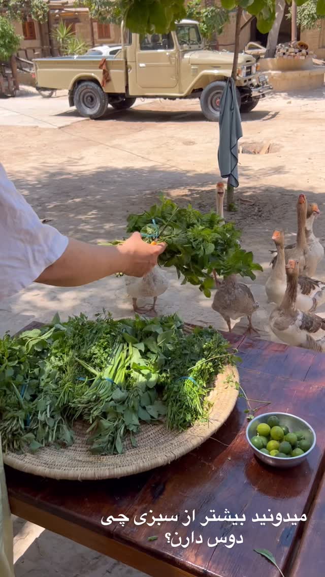  جدید ترین استوری اینستاگرام مرجان ماهینی