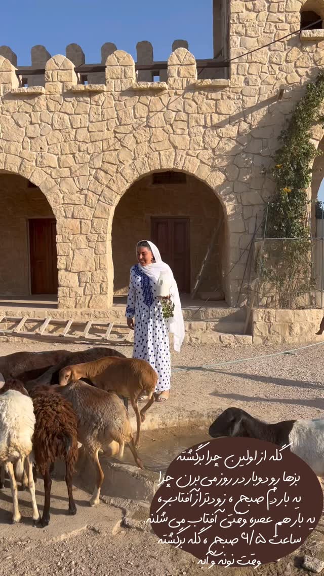  جدید ترین استوری اینستاگرام مرجان ماهینی