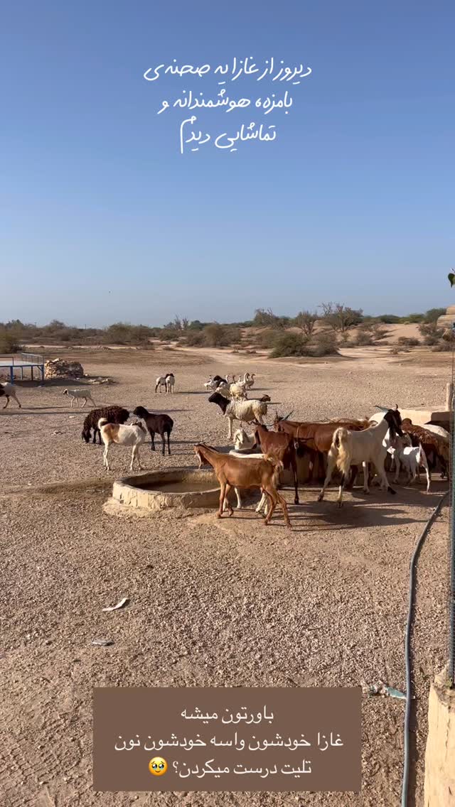  جدید ترین استوری اینستاگرام مرجان ماهینی